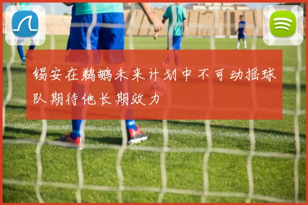 锡安在鹈鹕未来计划中不可动摇球队期待他长期效力