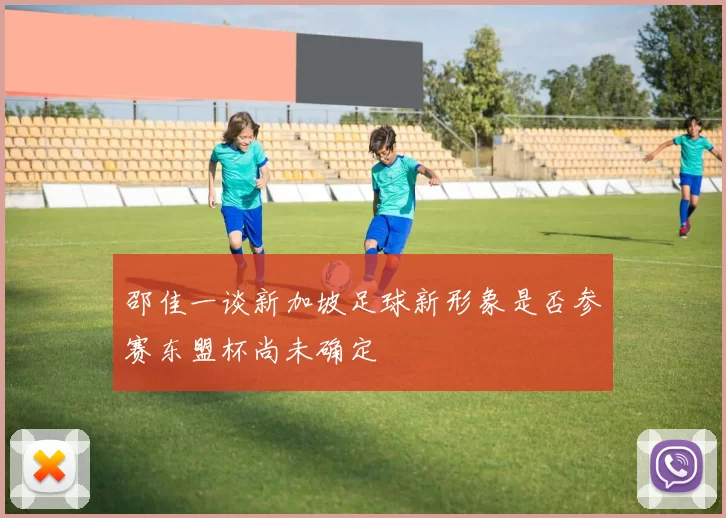邵佳一谈新加坡足球新形象是否参赛东盟杯尚未确定